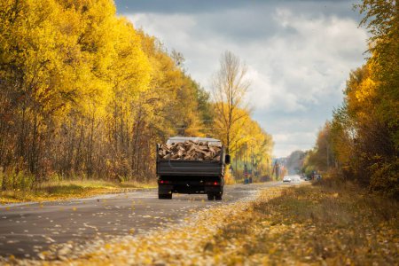Car carrying firewood along the autumn road. Preparation of firewood for heating.