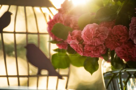 Photo for Tea roses and pretty things in the sunshine. cute still lifeVery soft light photo with soft focus. - Royalty Free Image