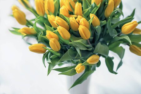 Téléchargez les photos : Bouquet de tulipes jaunes sur fond clair - en image libre de droit