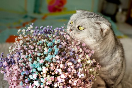 Gray tabby cat and delicate and a delicate bouquet in the bedroom