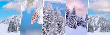 Photo for Set collection of winter natural backgrounds. backgrounds.suitable for web sites - Royalty Free Image