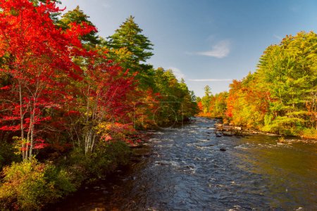 autumn river and beautiful autumn colorful trees. New Hampshire. USA. 