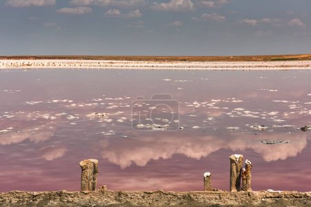 Photo for Pink lake with healing pink salt and mud. Old wooden posts in salt left over from salt mining. Beautiful reflection of clouds in the pink water of a lake on a sunny day. - Royalty Free Image