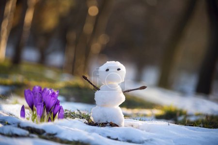 Photo for Little funny snowman and crocus flowers in a clearing with snow. Spring meeting. - Royalty Free Image