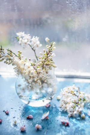 Cherry blossom in the water. bouquet with branches of cherry blossoms on the window. delicate artistic photo with soft selective focus.