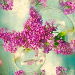 bouquet with lilac branches on a watercolor background. delicate artistic photo with soft selective focus.