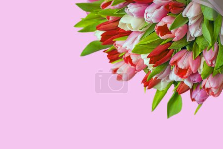 Foto de Un ramo de delicados tulipanes multicolores sobre un fondo rosa. Vista superior plana. - Imagen libre de derechos