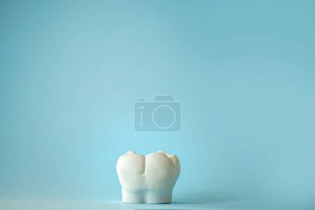 mockup of a molar chewing tooth on a blue background