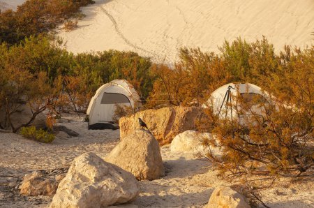 Touristenzelte in einer Oase zwischen Steinen und Büschen in der Wüste.