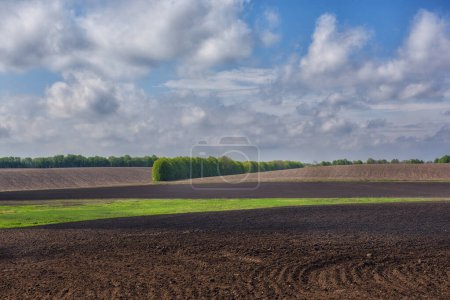 spring view of agricultural plowed fields on a sunny day.