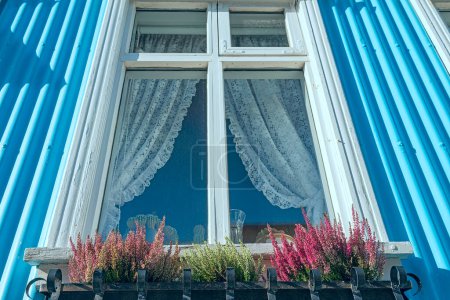 Fenster mit niedlichen Vorhängen und Blumen in einem Blumentopf vor dem Fenster. traditionelles Aussehen. Island.