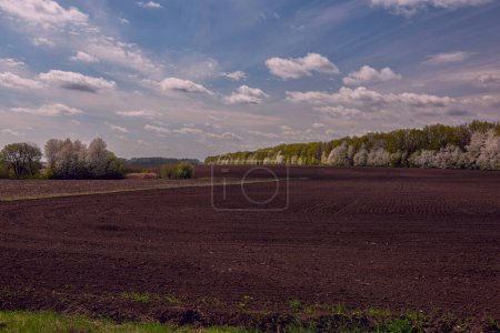 spring view of agricultural plowed fields on a sunny day.