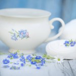cute cup with floral pattern, marshmallows and blue forget-me-nots