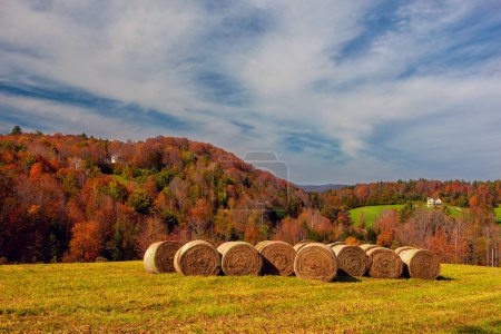 farmer's fields with bales of hay and a view of the magnificent colorful autumn mountains. Vermont. USA.