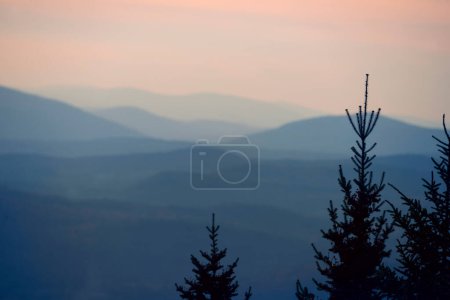 Ruhiger Abend. Weiche Silhouetten von Bergen am Horizont und Silhouetten der Wipfel von Tannen. Ruhige Landschaft.