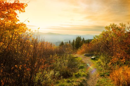 Blick von einem Aussichtspunkt in den Herbstbergen auf die Gipfel der Gebirgsketten und den Wald bei Sonnenuntergang. Gemütliche Bank mit Blick auf die Berge. Vermont. USA.