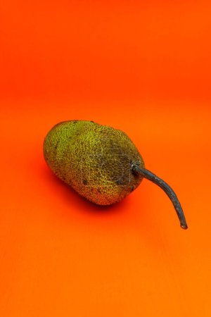 Photo for Cempedak or Artocarpus Integer, is same genus as jackfruit. It is native fruit to southeast Asia, isolated on orange background - Royalty Free Image