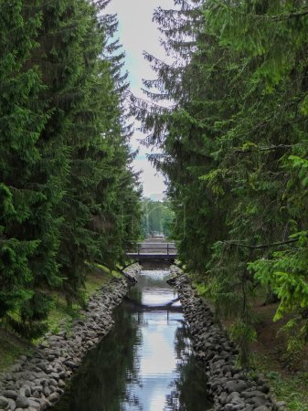 Camino del agua entre los árboles Peterghof ciudad cerca de San Petersburgh en Rusia 