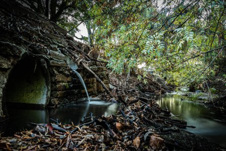 Téléchargez les photos : L'eau jaillit d'un tuyau dans un ruisseau urbain isolé entouré de verdure luxuriante et de débris. - en image libre de droit