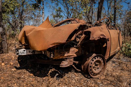 The weathered remains of a rusty car lie abandoned in a dry woodland area.