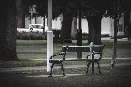 A single bench in a park offers a quiet place for reflection amidst urban life.