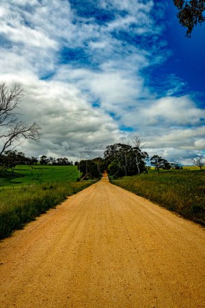 Ein Feldweg, der sich durch lebendige Felder unter wolkenverhangenem Himmel schneidet und die ländliche Einfachheit unterstreicht.