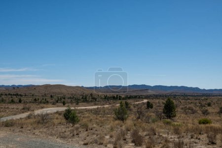 Gravel road winding through a sparse scrubland with hills on the horizon.