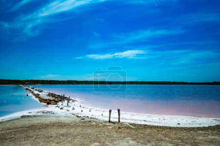 A rustic path leads to the horizon of a pink-hued saline lake under a blue sky