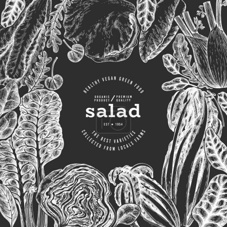 Green Vegetable Design Template. Vector Hand Drawn Healthy Leaf Salad Banner. Vintage Style Menu IllustrationOn Chalk Board.