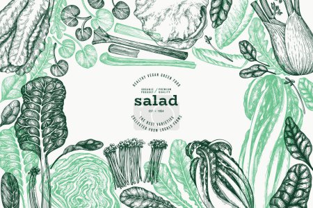 Green Vegetable Design Template. Vector Hand Drawn Healthy Leaf Salad Banner. Vintage Style Menu Illustration.