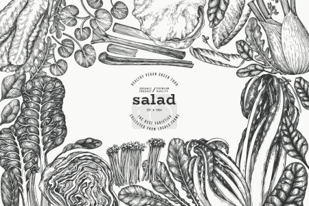 Plantilla de diseño vegetal verde. Banner de ensalada de hoja saludable dibujado a mano vectorial. Menú Estilo Vintage Ilustración.