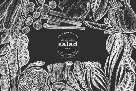 Modèle de conception de légumes verts. Bannière de salade de feuilles saine dessinée à la main vectorielle. Vintage Style Menu IllustrationOn Chalk Board.