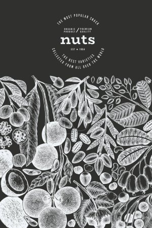 Plantilla de ramas y núcleos de frutos secos dibujados a mano. Diseño de vectores de semillas orgánicas. Ilustración de tuerca de tablero de tiza retro.