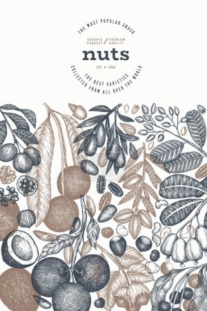 Hand Drawn Nuts Branch And Kernels  Template. Organic Seed Vector Design. Retro Nut Illustration. Engraved Style Botanical Banner.