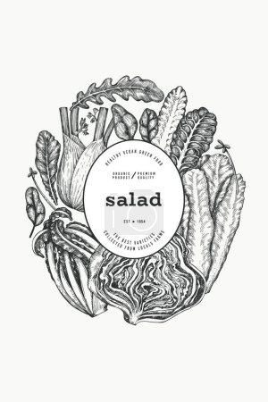 Vorlage für grünes Gemüse-Design. Vector Hand gezeichnetes gesundes Blatt Salatbanner. Vintage Style Menü Illustration.