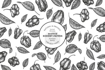 Hand drawn sketch style scotch bonnet pepper banner. Organic fresh vegetable vector illustration. Retro cayenne pepper design template