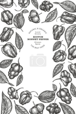 Handgezeichnete Skizze Stil Scotch Motorhaube Pfeffer Banner. Illustration des organischen Vektors für frisches Gemüse. Retro-Cayenne-Pfeffer-Design-Vorlage