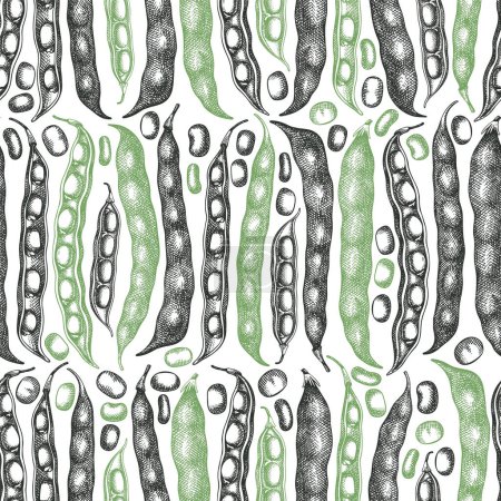 Hand drawn broad beans seamless pattern. Organic fresh food vector illustration. Retro pods illustration. Engraved botanical style cereal background.