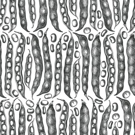 Dibujado a mano de habas patrón sin costura. Ilustración orgánica de vectores de alimentos frescos. Ejemplo de vainas retro. Fondo de cereales de estilo botánico grabado.