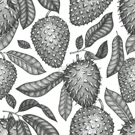 Dibujo dibujado a mano estilo soursop fruta patrón sin costuras. Ilustración orgánica del vector de fruta fresca. Fondo de guanabana retro