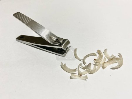 Nail Clipper with dirty nails on isolated white background. A nail clipper (also called nail clippers, a nail trimmer, a nail cutter or nipper type) is a hand tool used to trim fingernails, toenails and hangnails.