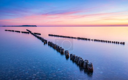 Wooden breakwaters pointing towards the sunset in Dranske, Ruegen, Germany. High quality photo