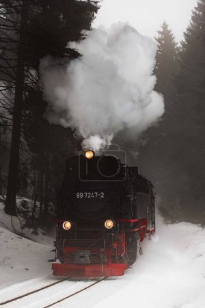 Un tren se ve abriéndose camino a través de un paisaje invernal cubierto de nieve, rodeado de árboles altos en un bosque.