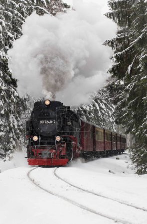 Un tren se ve abriéndose camino a través de un bosque cubierto de una manta de nieve.