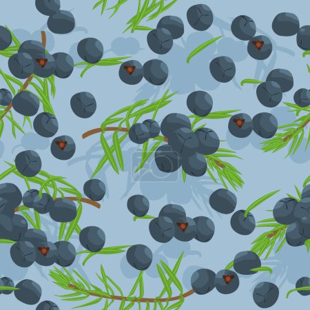 Juniper berries seamless pattern vector background.