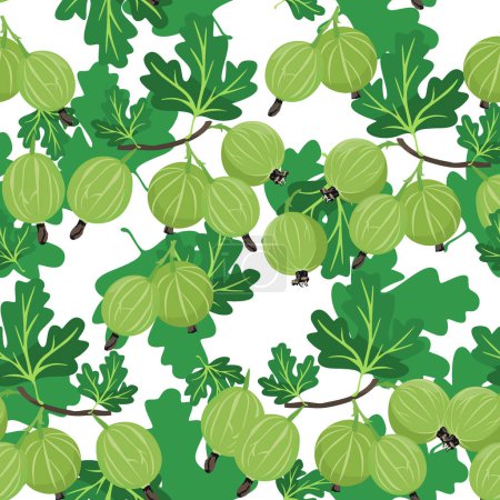 Gooseberry seamless pattern vector background.