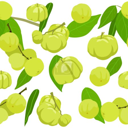 A seamless pattern of star gooseberry. vector illustration.