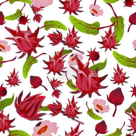 A seamless pattern of Roselle fruit, leaf, and flower. vector illustration.