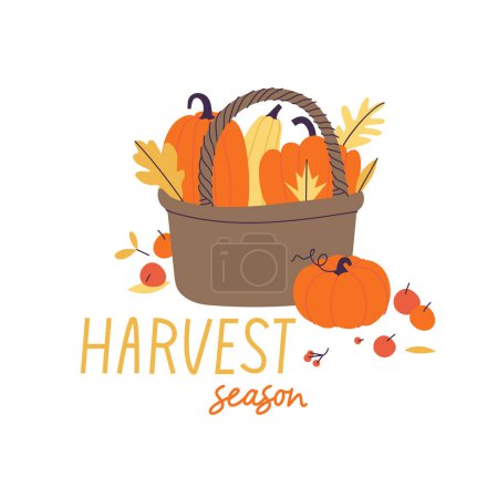 Illustration for Vector illustration with straw basket full of pumpkins and foliage and with harvest season lettering. Greeting card - Royalty Free Image