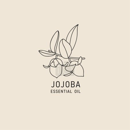 Illustration for Vector packaging design element and icon in linear style - jojoba oil - healthy vegan food. Logo sign - Royalty Free Image